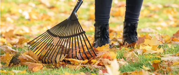 10 Tipps für einen tierfreundlichen Garten