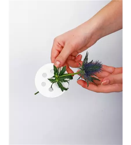 Blumenverteiler in S