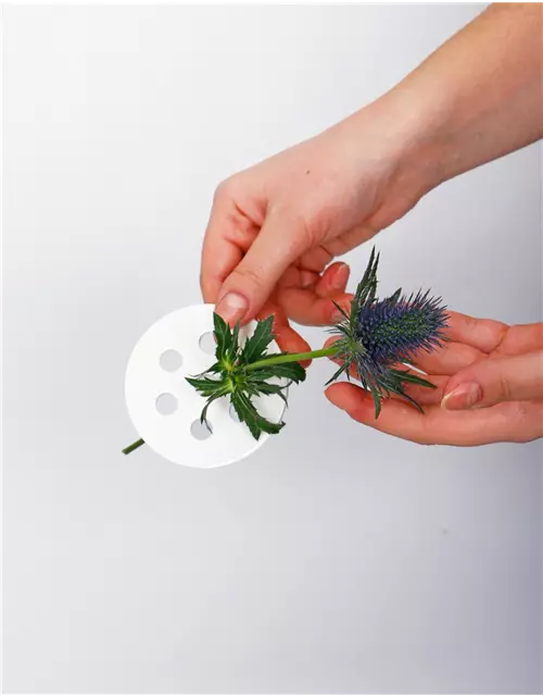 Blumenverteiler in S