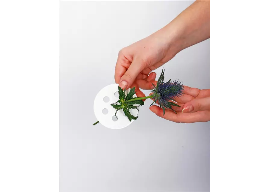 Blumenverteiler in S
