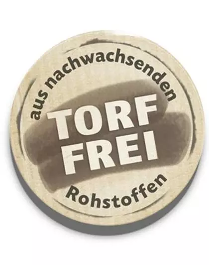 Japanische Scheinmyrthe