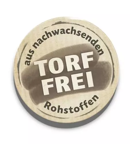 Japanische Scheinmyrthe