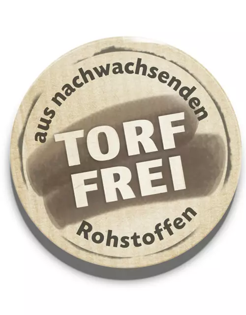 Japanische Scheinmyrthe