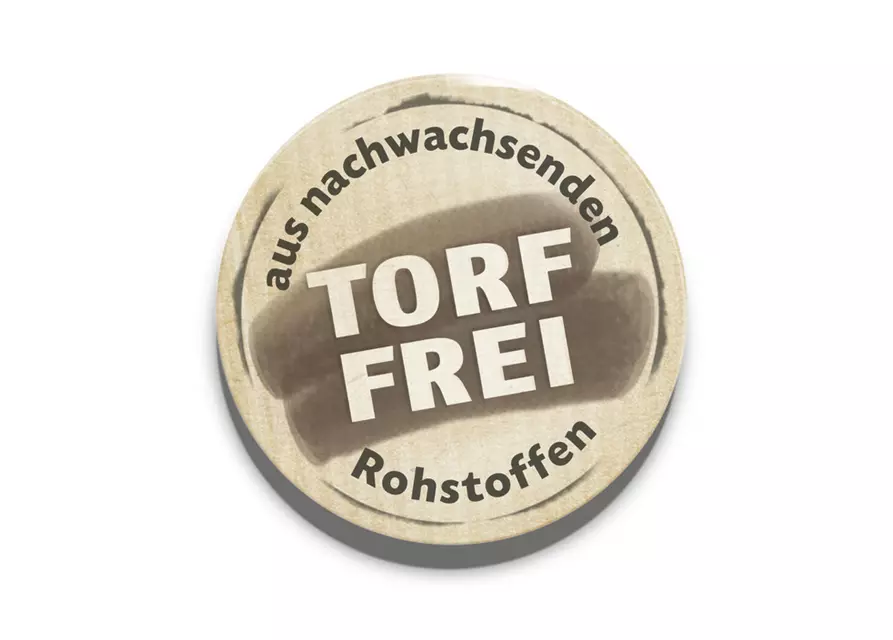 Japanische Scheinmyrthe