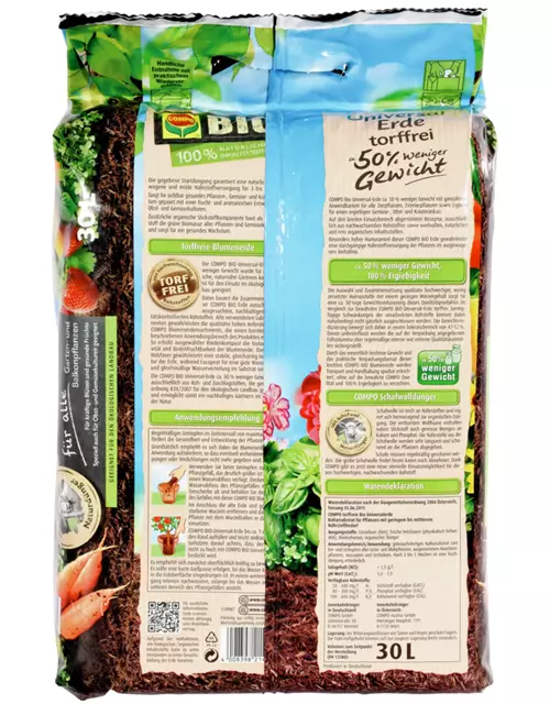 Japanische Scheinmyrthe