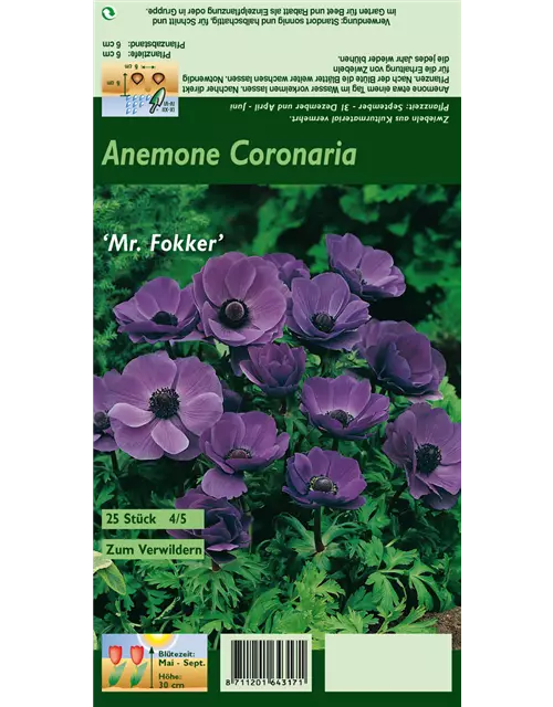 Blumenzwiebel Set ' Violet Queens'