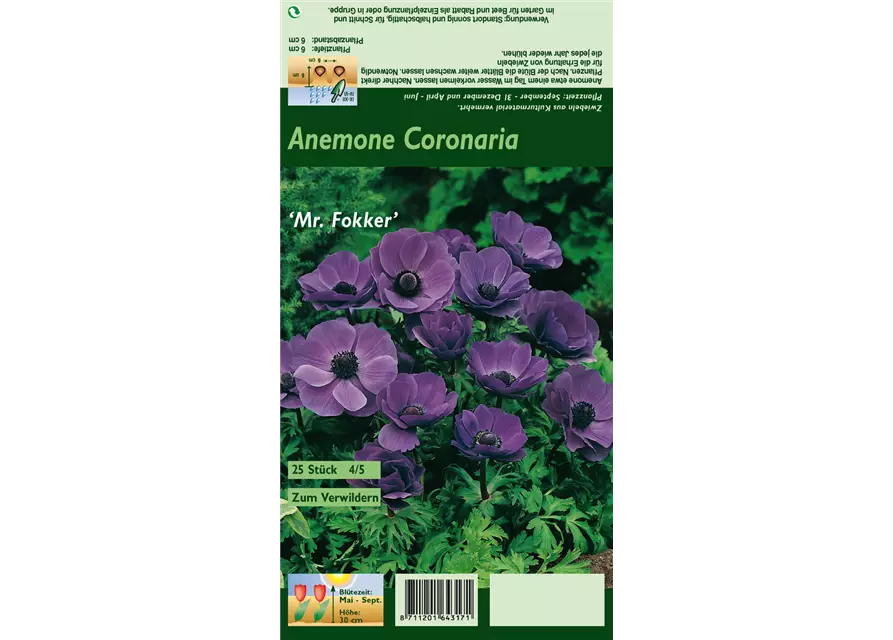 Blumenzwiebel Set ' Violet Queens'