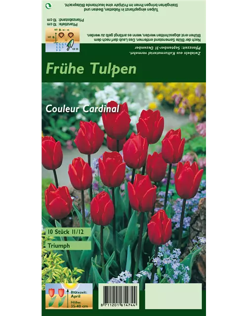 Tulpe 'Couleur Cardinal'