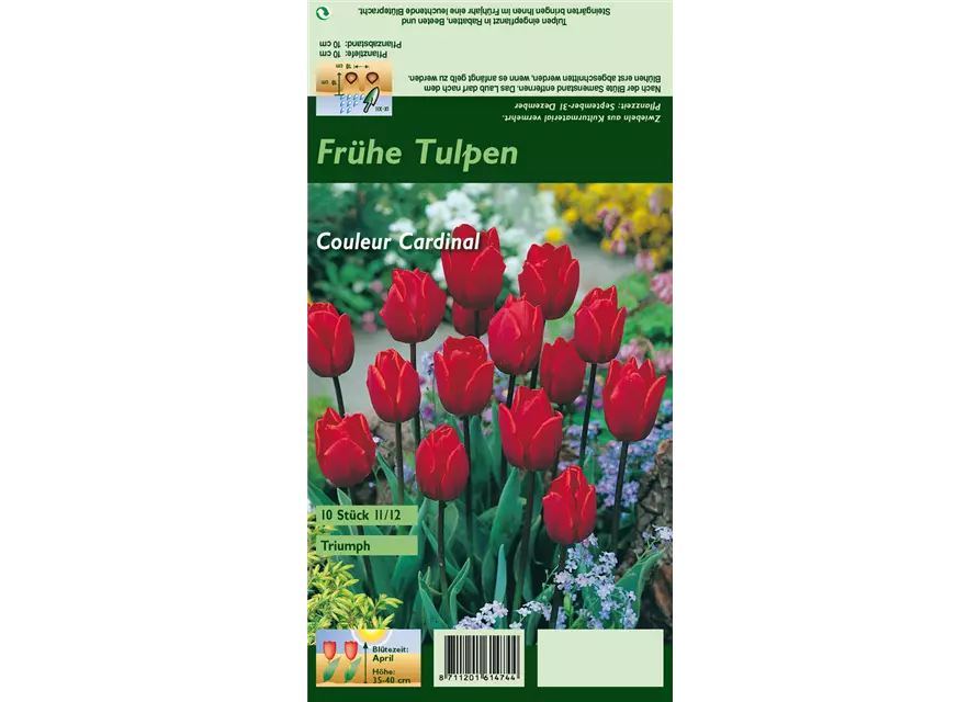 Tulpe 'Couleur Cardinal'