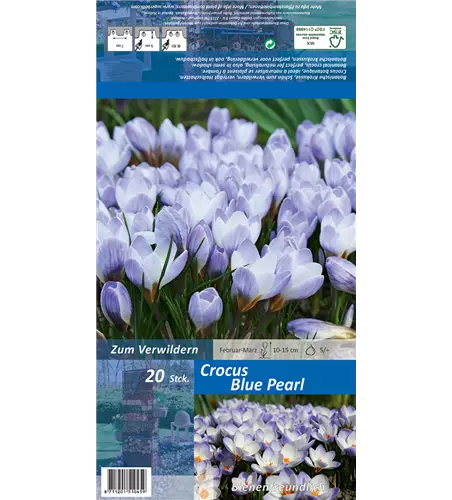 Kleiner Garten-Krokus 'Blue Pearl'