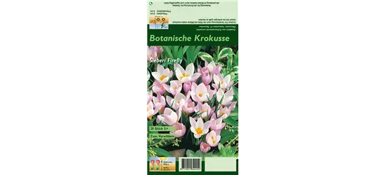 Garten-Krokus 'Firefly'