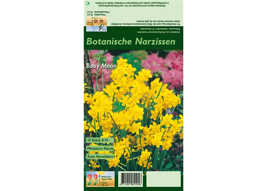 Blumenzwiebel Set 'Yellow Destiny'