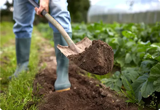 Gartenarbeiten im Mai