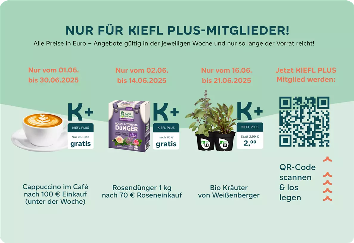 Kiefl Plus Angebote Juni 2025 Webseite.png