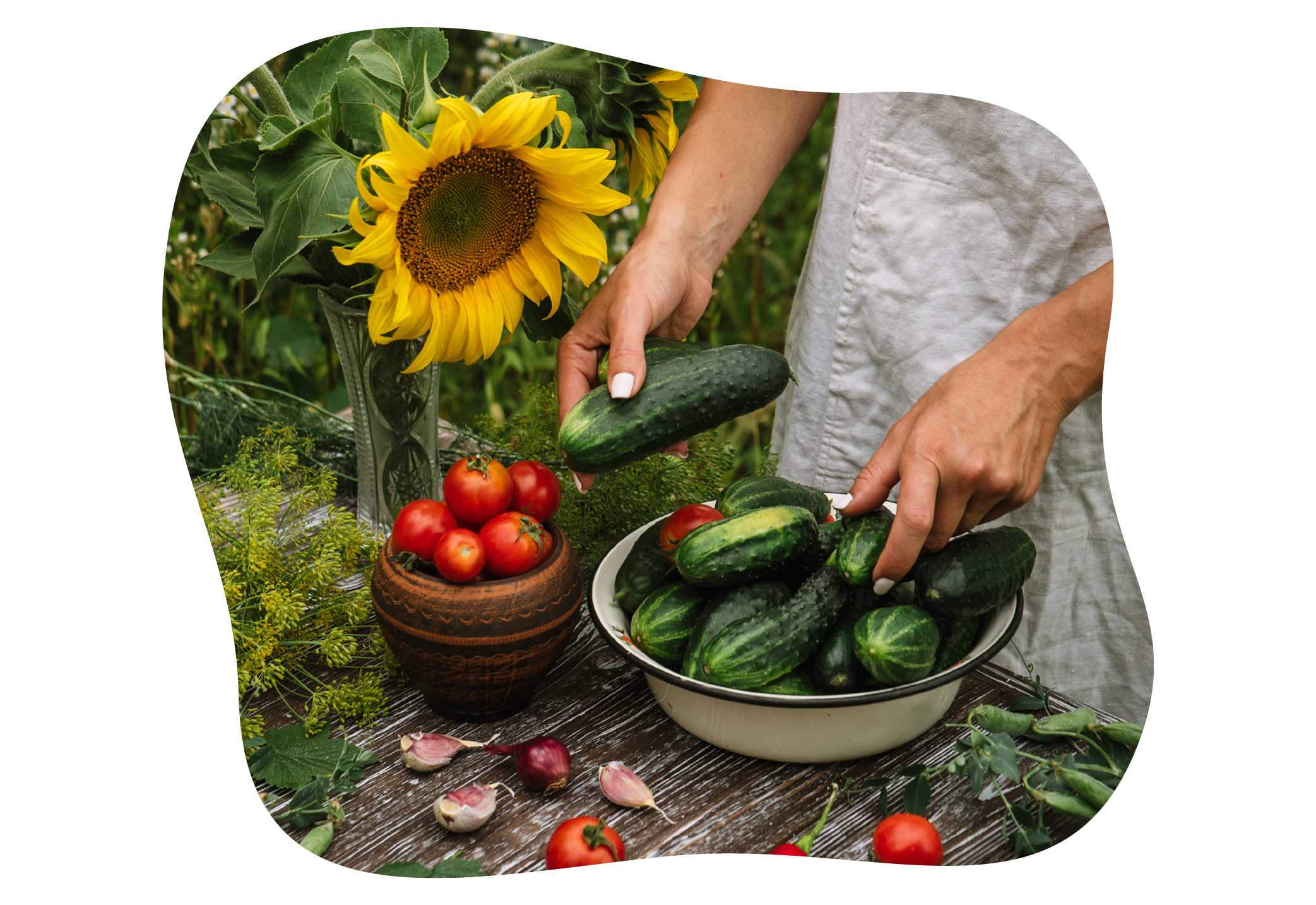 lust auf selberkochen? - Rezepte