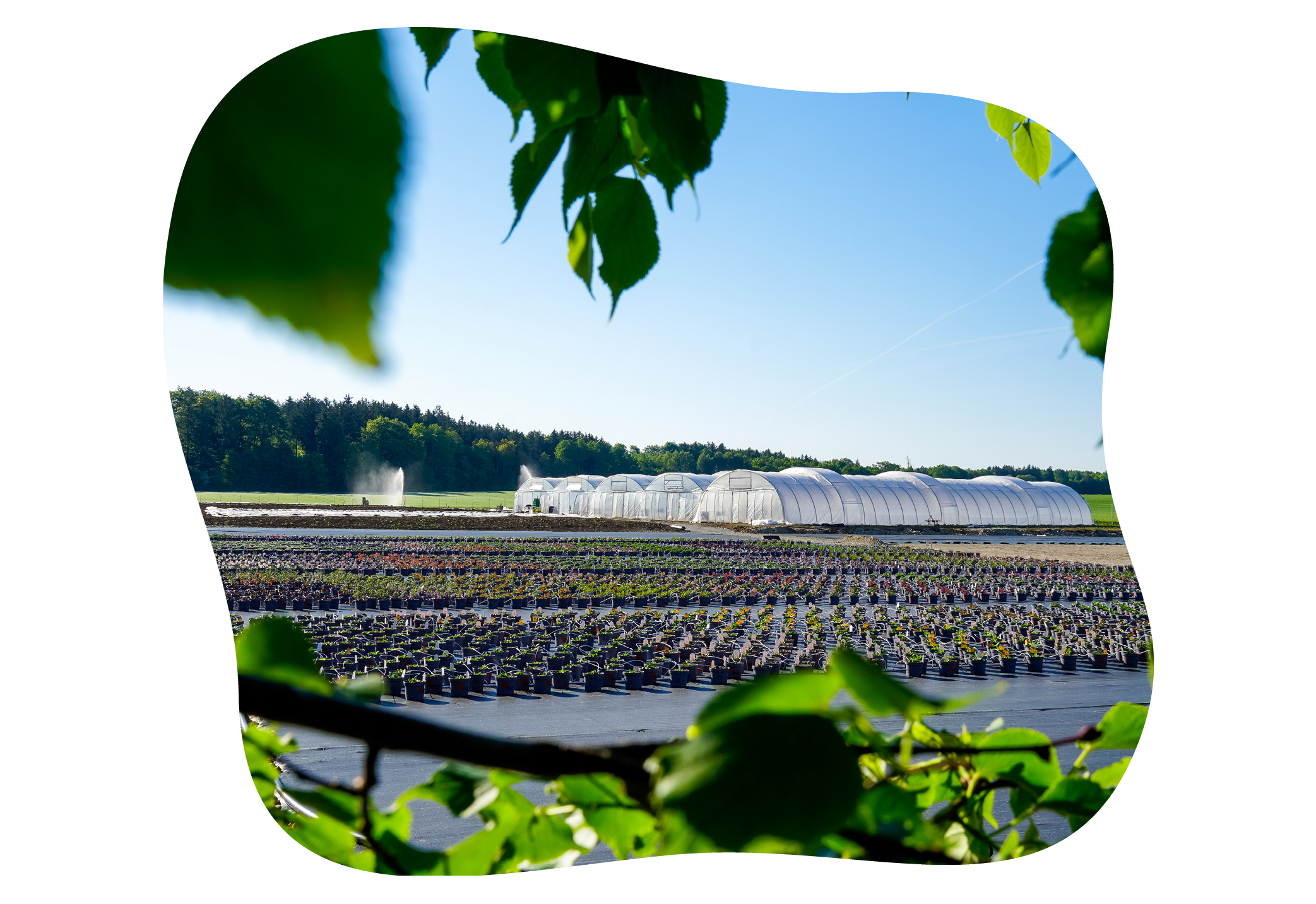 kiefl_erlebnis_acker-fuehrungen_juli_freitags_15_uhr_kiefls_welt_in_gauting_bei_muenchen