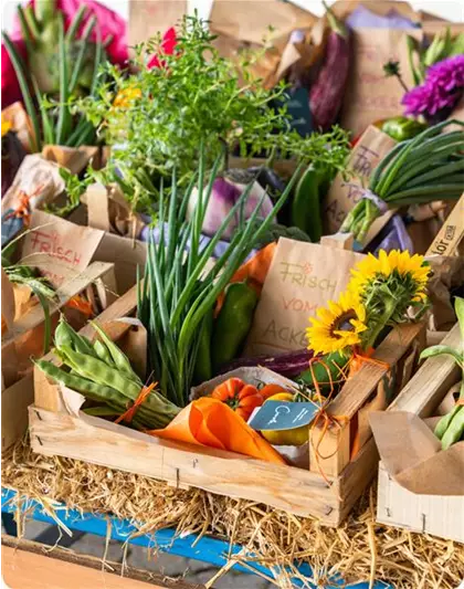Marktzeit | Jeden Donnerstag, Freitag und Samstag Marktzeit | Jeden Donnerstag, Freitag und Samstag