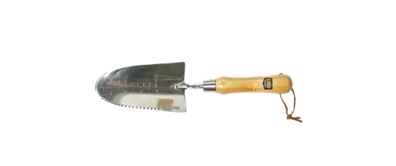 JETZT PFLANZEN, SPäTER STAUNEN! JETZT PFLANZEN, SPäTER STAUNEN!