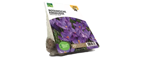 JETZT PFLANZEN, SPäTER STAUNEN! JETZT PFLANZEN, SPäTER STAUNEN!