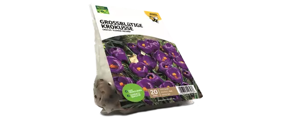 JETZT PFLANZEN, SPäTER STAUNEN! JETZT PFLANZEN, SPäTER STAUNEN!