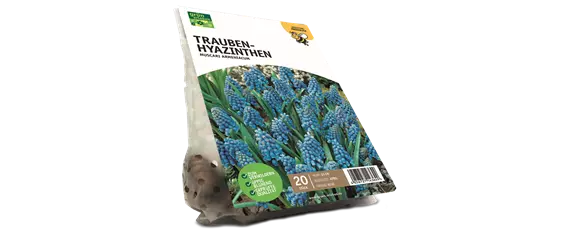 JETZT PFLANZEN, SPäTER STAUNEN! JETZT PFLANZEN, SPäTER STAUNEN!