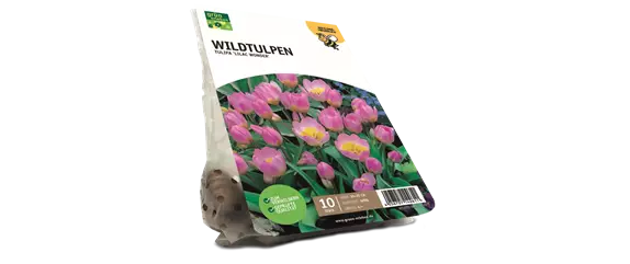 JETZT PFLANZEN, SPäTER STAUNEN! JETZT PFLANZEN, SPäTER STAUNEN!