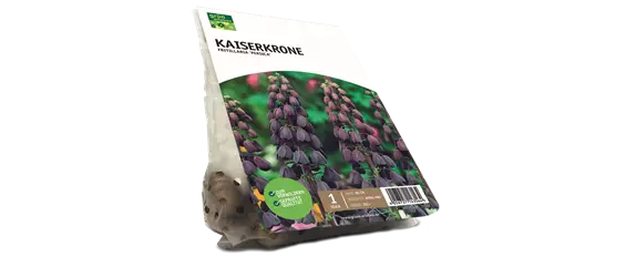 JETZT PFLANZEN, SPäTER STAUNEN! JETZT PFLANZEN, SPäTER STAUNEN!