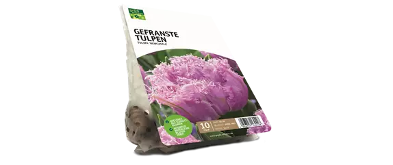 JETZT PFLANZEN, SPäTER STAUNEN! JETZT PFLANZEN, SPäTER STAUNEN!