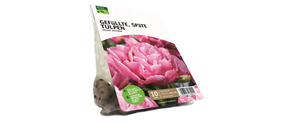 JETZT PFLANZEN, SPäTER STAUNEN! JETZT PFLANZEN, SPäTER STAUNEN!