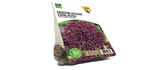 JETZT PFLANZEN, SPäTER STAUNEN! JETZT PFLANZEN, SPäTER STAUNEN!