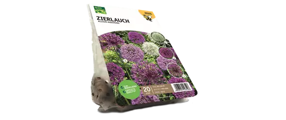 JETZT PFLANZEN, SPäTER STAUNEN! JETZT PFLANZEN, SPäTER STAUNEN!