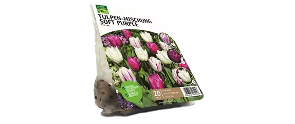 JETZT PFLANZEN, SPäTER STAUNEN! JETZT PFLANZEN, SPäTER STAUNEN!