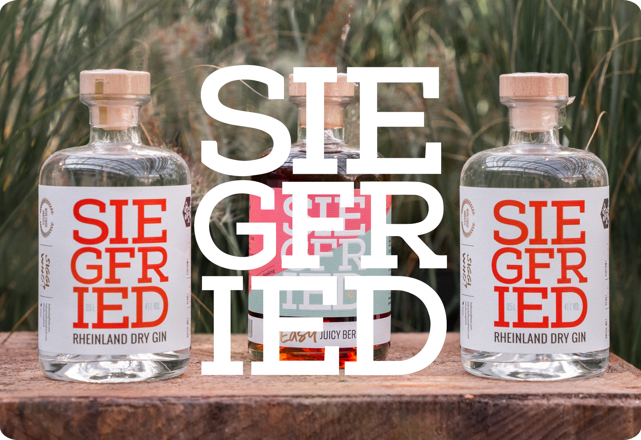 ladies_night_2025_sponsor_siegfried_kiefls_welt_in_gauting_bei_muenchen.png