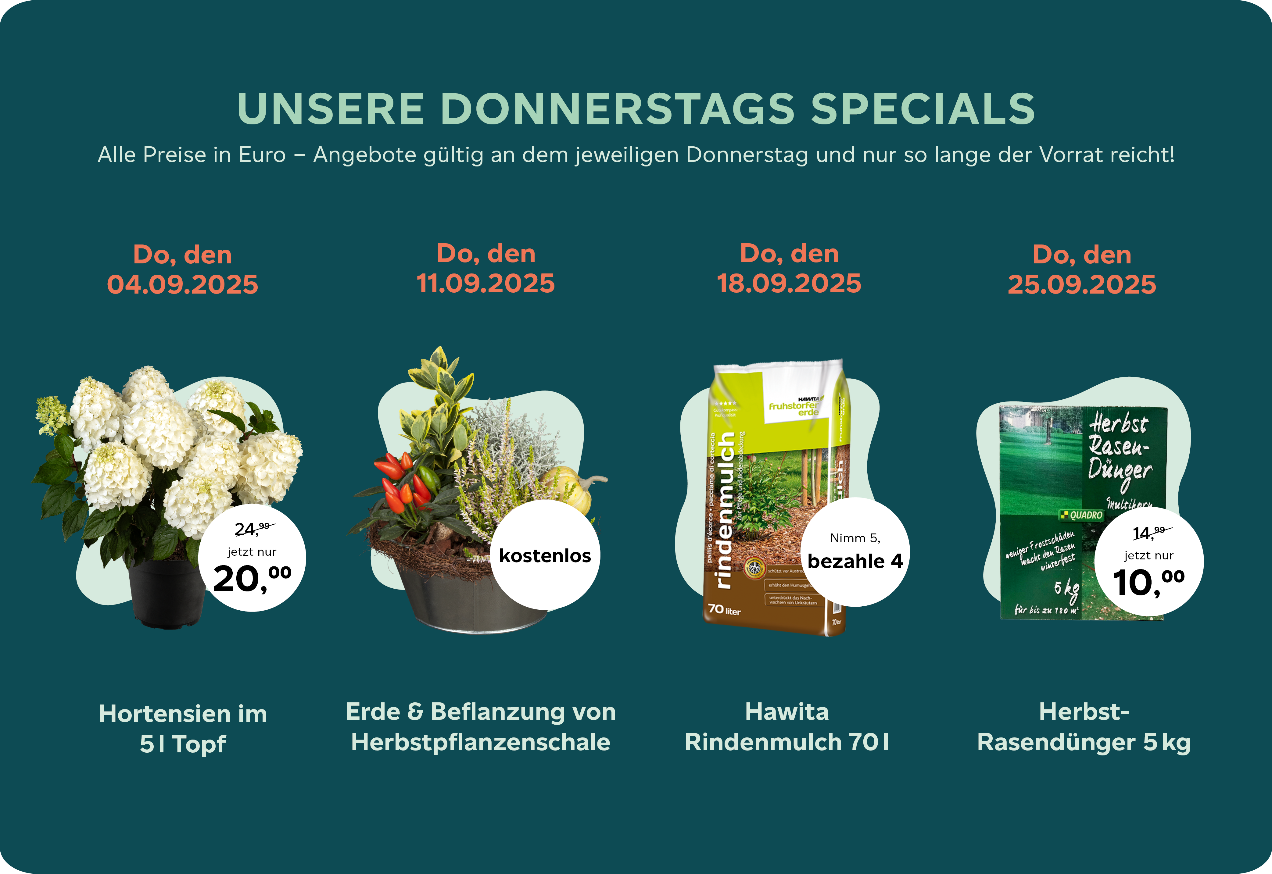 Donnertags-Special September 2025.png