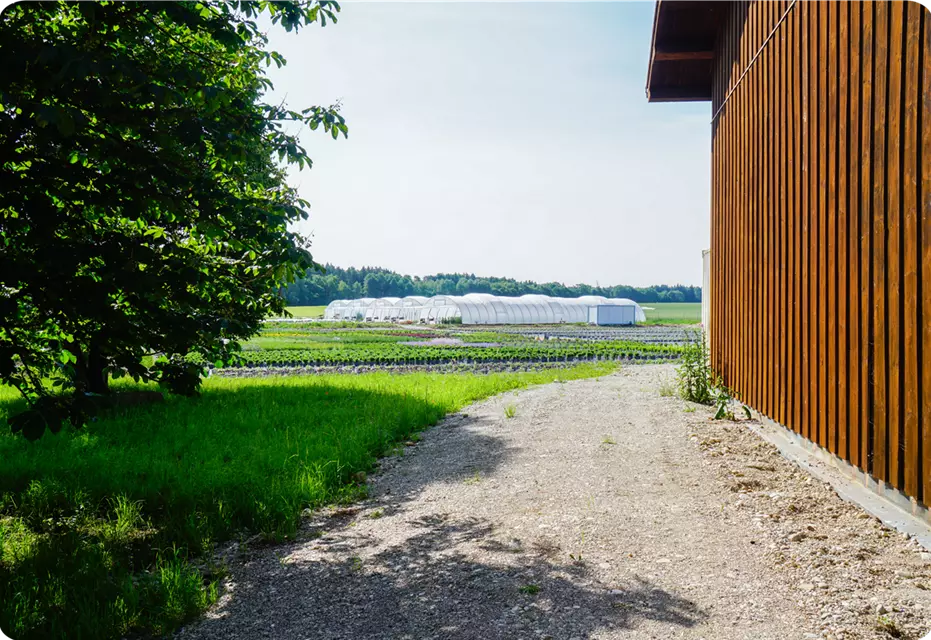 erlebnis_acker_kiefls_welt_in_gauting_bei_muenchen_ackerfläche.png