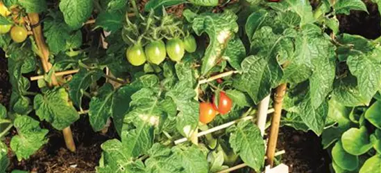 Ackerkiste Pro Ackerkiste Pro