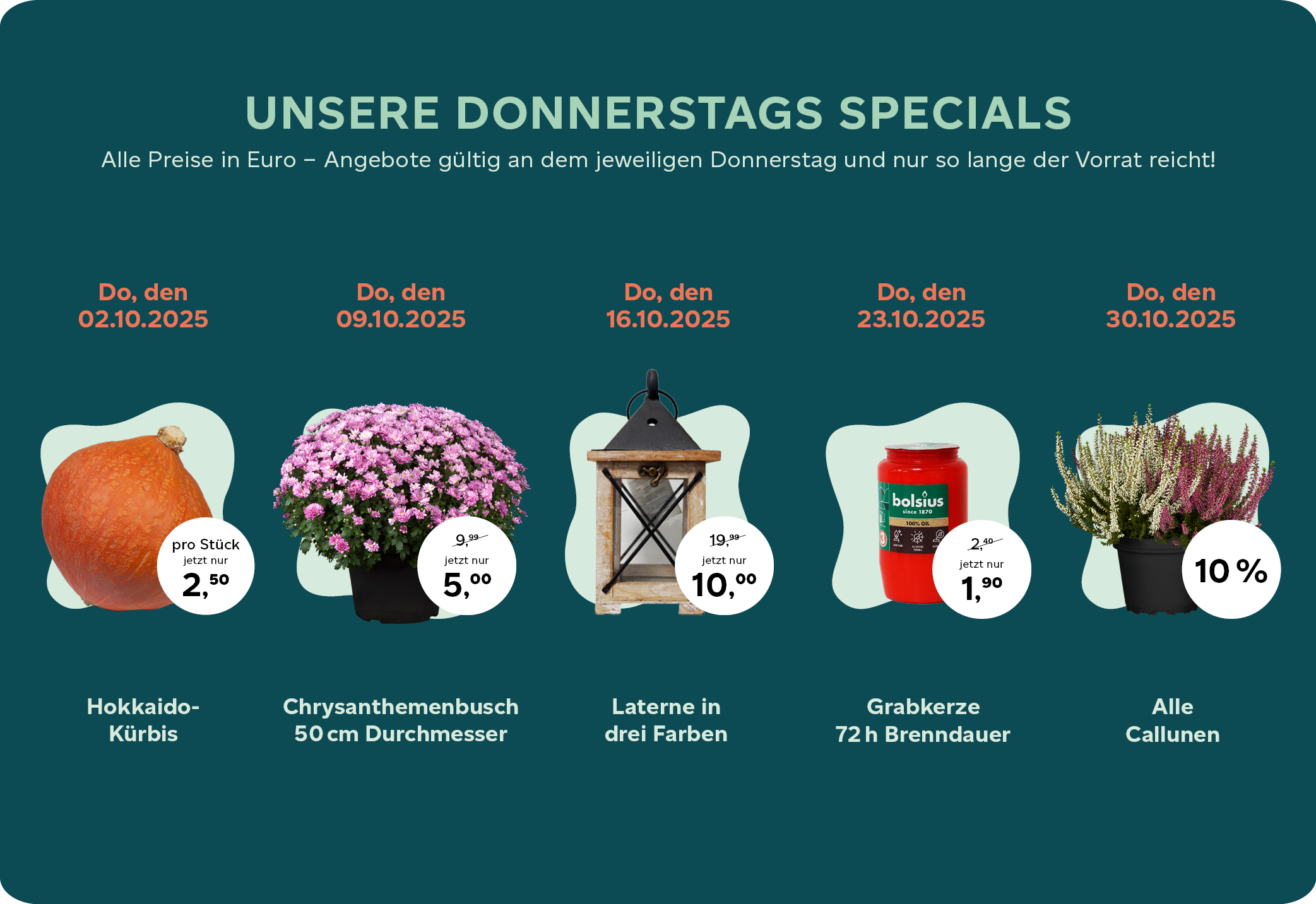 Donnertags-Special Oktober 2025.png Donnertags-Special Oktober 2025.png
