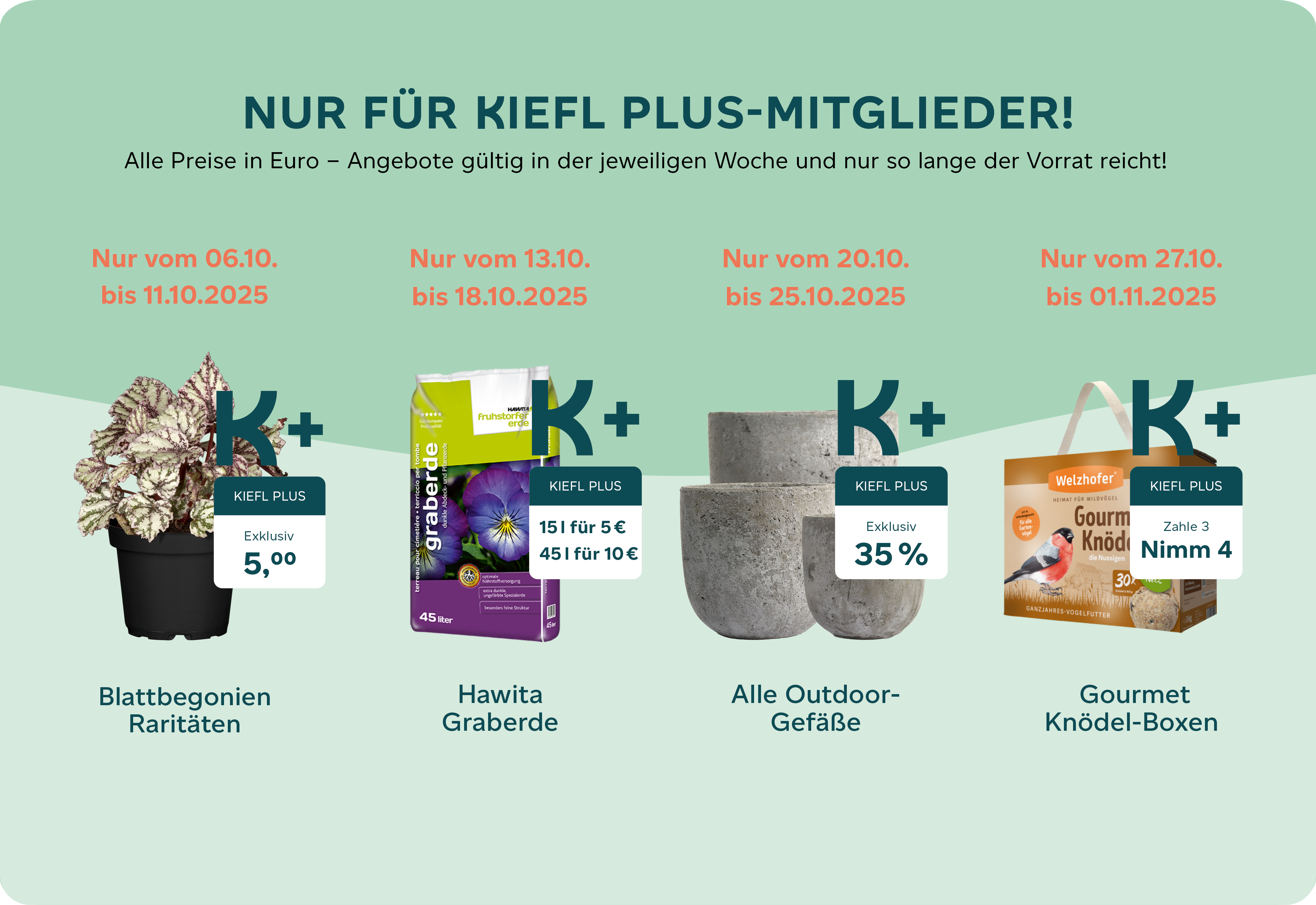 Kiefl Plus Angebote Oktober 2025 Webseite.png Kiefl Plus Angebote Oktober 2025 Webseite.png