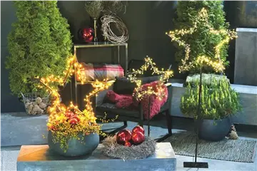 LICHTBLICKE IM WINTER-GARTEN!