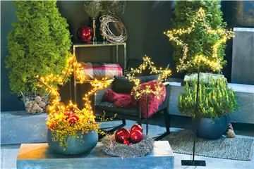 LICHTBLICKE IM WINTER-GARTEN! LICHTBLICKE IM WINTER-GARTEN!