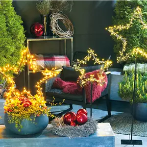 LICHTBLICKE IM WINTER-GARTEN!