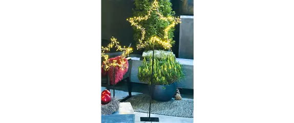 LICHTBLICKE IM WINTER-GARTEN!