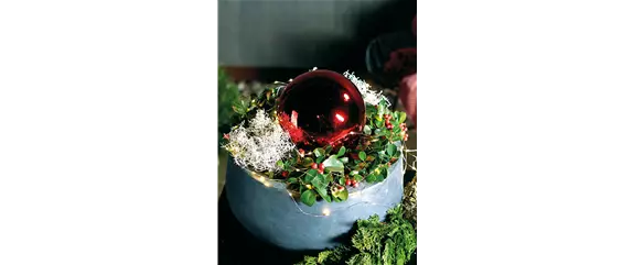 LICHTBLICKE IM WINTER-GARTEN!