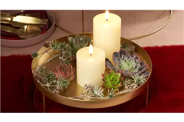 IM GLANZ DER ELEGANZ!