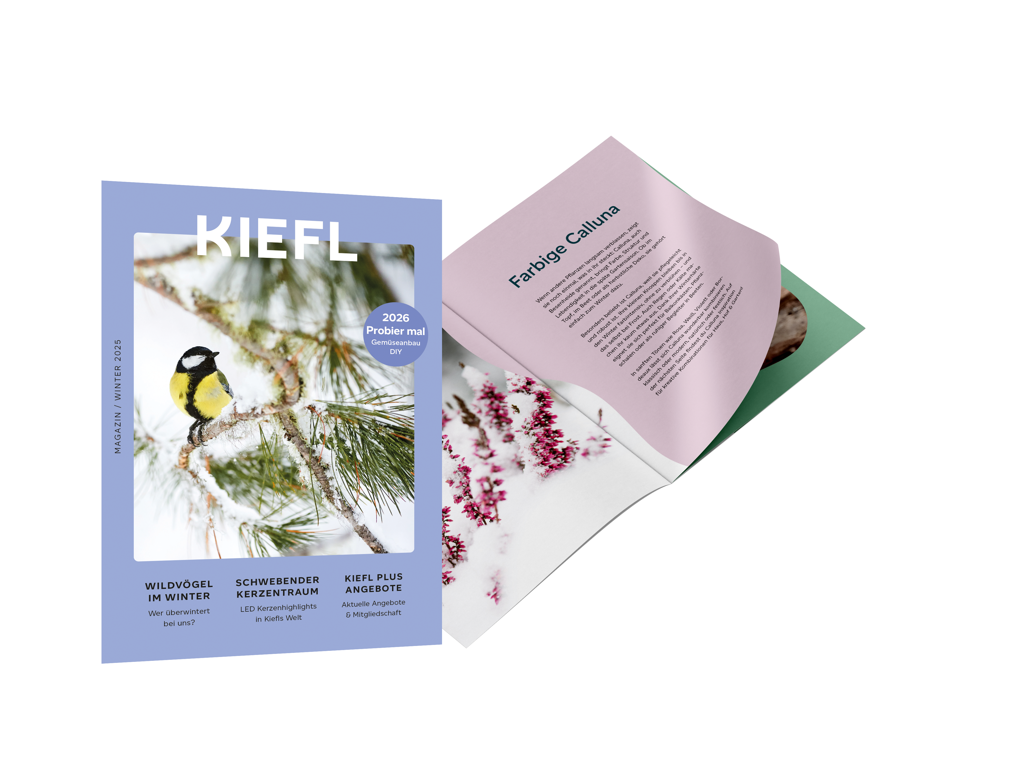 Neu: - Kiefl Winter-Magazin