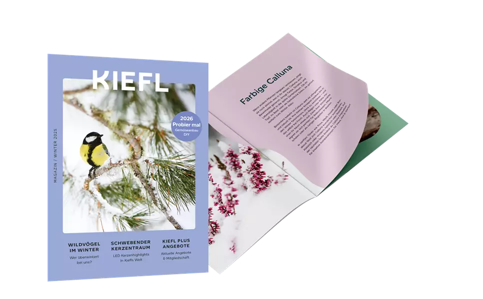 Neu: - Kiefl Winter-Magazin
