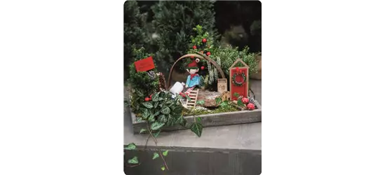 Workshop: Wichtel-Wonderland