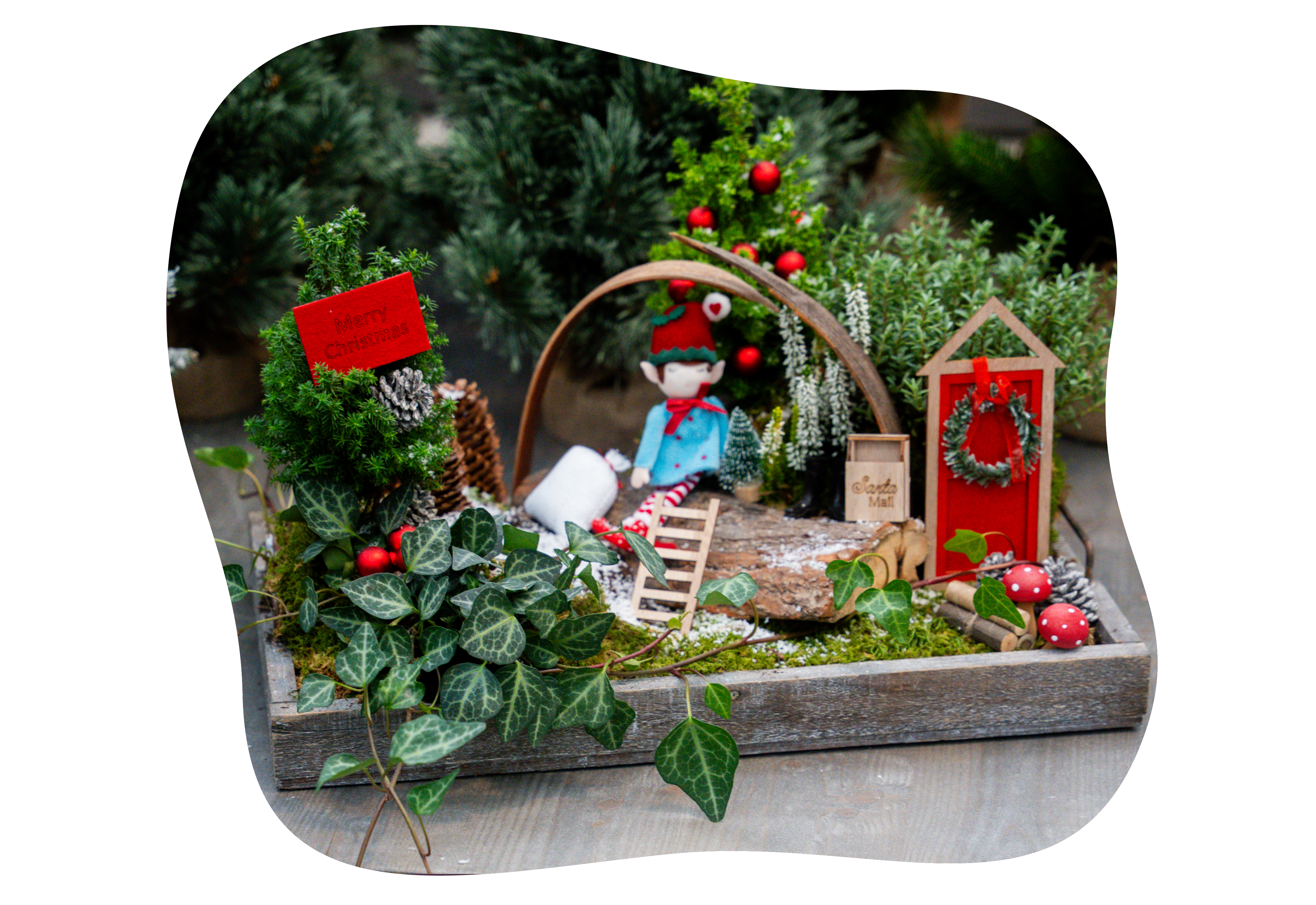 wichtel-wonderland_diy_sonntag_2025_kiefls_welt_in_gauting_bei_muenchen_.png wichtel-wonderland_diy_sonntag_2025_kiefls_welt_in_gauting_bei_muenchen_.png