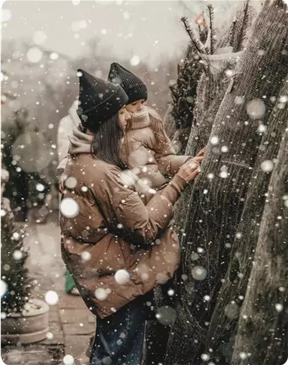 Christbaum-Verkauf | Ab 21.11.2025