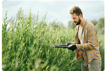 Gartenservice & Pflanzberatung